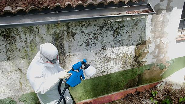 Top rated local Commercial Mold Remediation specialists in Christiana, PA